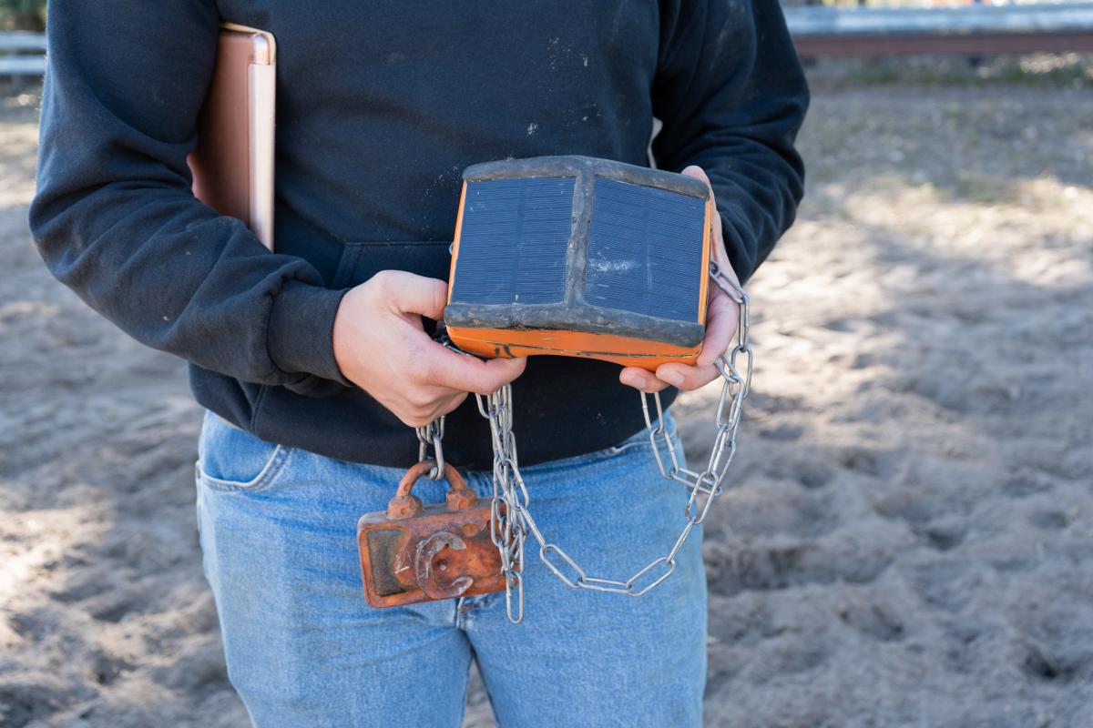 Person holds a cattle tracking collar.