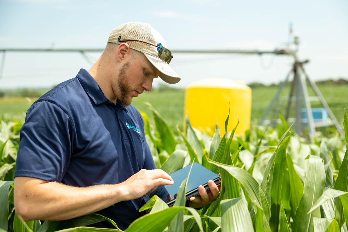 The founder of Sentinel Fertigation, Jackson Stansell, using technology in a corn field.