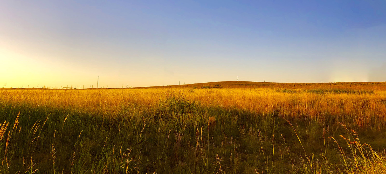 A prairie at sunset.