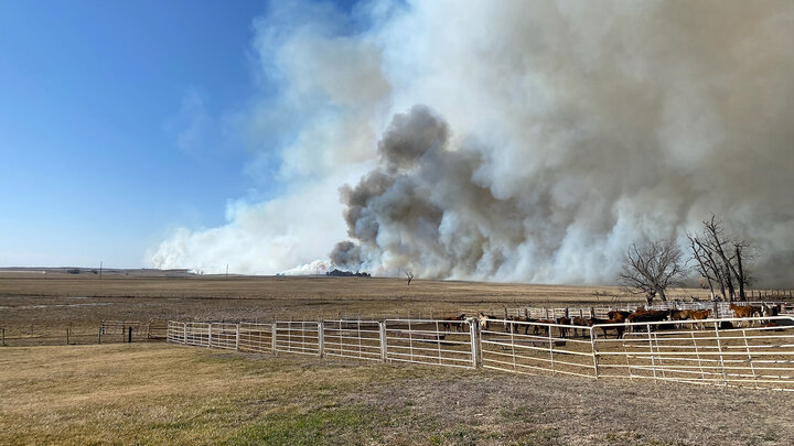 Smoke rising from the horizon beyond a cattle ranch.