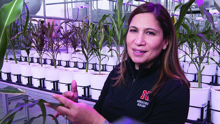 Headshot of Tala Awada.