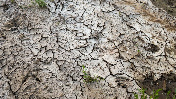 Cracked soil due to lack of rain.