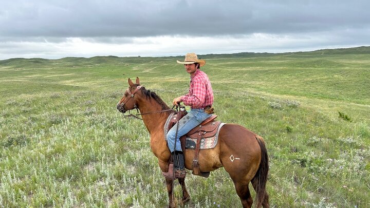 A rancher on horseback in a green pasture.