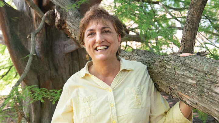Lisa Pennisi