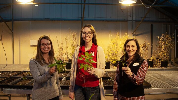 Graduate Students and Faculty working in a soil lab.