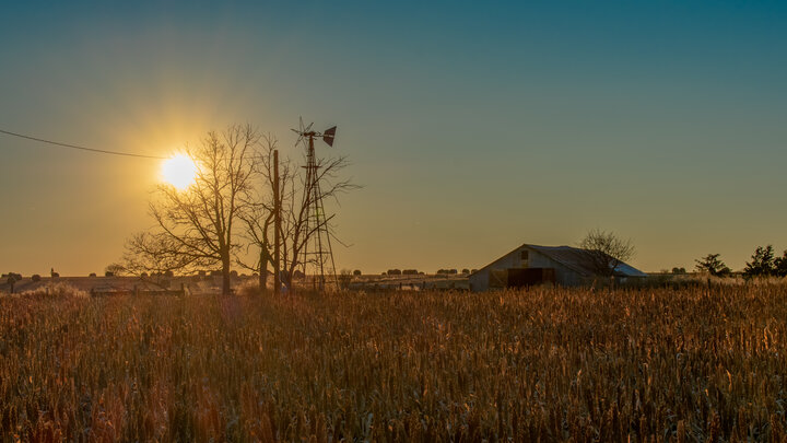 A sunset over of fall corn field.