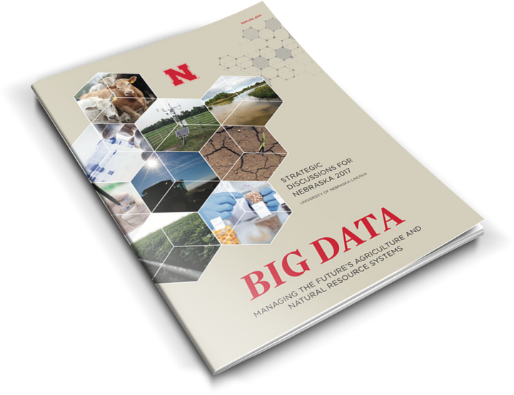 Cover of the 2017 SND publication: Big Data